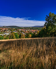 Goslar Panoramablick