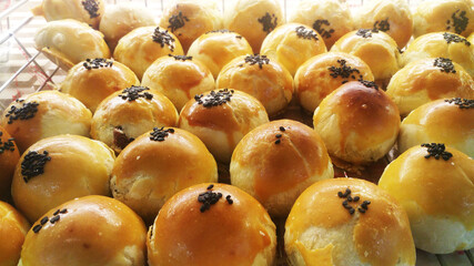 Tasty baked egg yolk pastry moon cake 