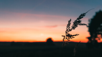 widok na zach&oacute;d słońca w tleroślina