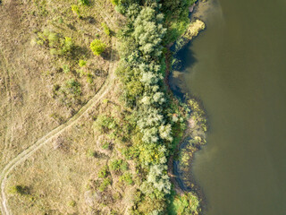 Aerial drone view. Low trees by the river. Summer sunny day.