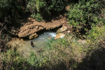 Nahal Amud (Amud Stream) in Nahal Amud Nature Reserve, the most beautiful stream in Upper Galilee, Northern Israel, Israel.