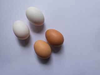 eggs on a  isolated white