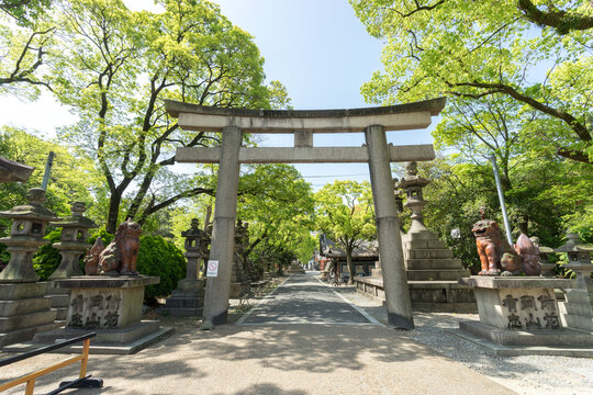 Shrine from sumiyoshi grand shrine, Osaka, Japan