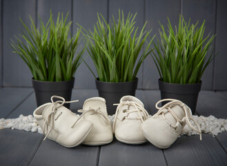 Close-up of white newborn shoes with laces, placed one on top of the other, on gray wooden background and three green plants
