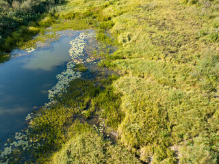 Small lake among green meadows. Summer sunny day. Aerial drone view.