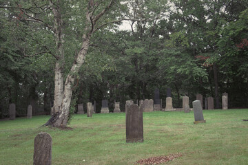 Gräber auf einem jüdischen Friedhof, Niedersachsen, Deutschland