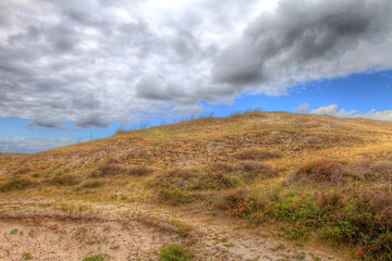 Netherlands Texel De Bollenkammer 01