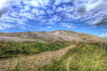 Netherlands Texel De Bollenkammer 08