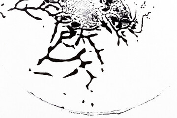 Black and white hand painted acrylic background.