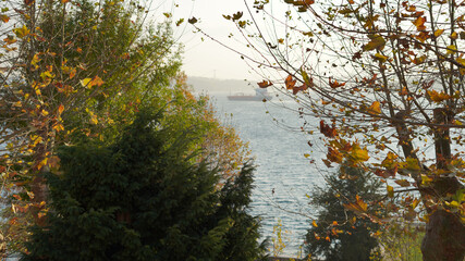 Autumn view of bosphorus