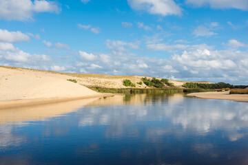 landscape of the coast in the south west of France