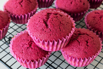 Delicious fun fuchsia colorful cupcakes