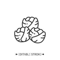 Brussels sprouts line icon. Superfood. Organic healthy energetic food for balanced nutrition. Detox and weight loss supplements. Vegetarian food. Isolated vector illustration. Editable stroke. 