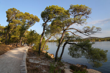 Fototapeta na wymiar Walking path on the coast of the canal of St. Ante near Sibenik in Croatia