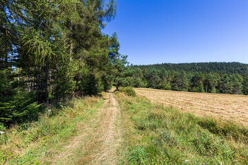 Mountain hiking trail in Beskid Sadecki near Krynica Zdroj in Poland