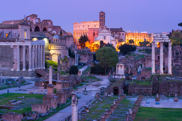 Naklejka na ściany i meble Roman Forum, Rome, Italy, Europe