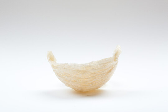 Fresh edible bird's nest on white paper