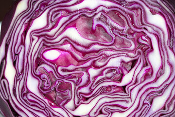 Obraz premium Close up on sliced purple salad cabbage