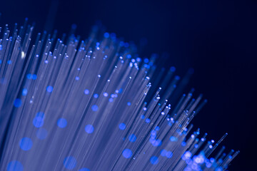 Close up on fiber optics - Shallow depth of field
