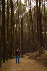 Obraz premium hiking in the woods