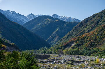 Fototapeta premium landscape in the mountains
