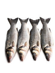Raw whole seabass fish isolated on white