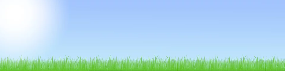 Foto op Plexiglas Landschaft mit grüner Wiese und blauem Himmel mit Wolken © HNFOTO