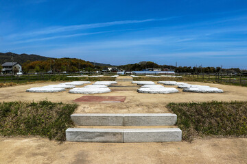 奈良斑鳩・中宮寺跡