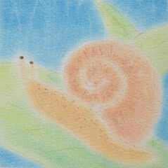 雨の中、葉っぱの上を移動するカタツムリ