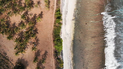 A drone shot from the beautiful nature of Mentawai islands, Sumatra, Indonesia. The combination of forest, palm trees, clear waters, reef corals and sand. 