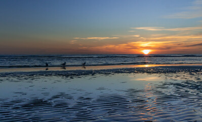 Zachód słońca na plaży w Egmond aan Zee, Holandia Północna. - obrazy, fototapety, plakaty