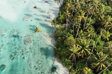 A drone shot from the beautiful nature of Mentawai islands, Sumatra, Indonesia. The combination of forest, palm trees, clear waters, reef corals and sand. 