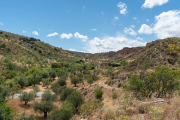Fototapeta na wymiar mountainous landscape with vegetation in southern Spain