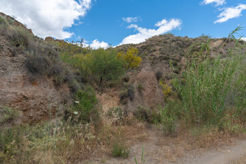 mountainous landscape with vegetation in southern Spain
