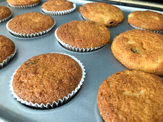 Close up view of homemade buns cooling in their paper cases in a baking tray.