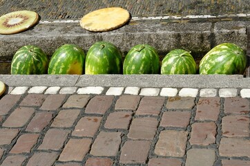 Watermelons in small city stream called Bächle in Freiburg which are typical feature of the city....