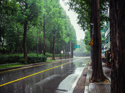 Rain & Yang Jae Street Seoul Korea