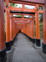 Santuario Fushimi Inari, en Kioto, Japón