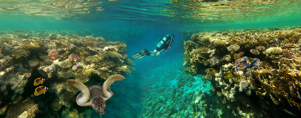 Coral Reef, Tropical Fish and Scuba Divers in the Red Sea