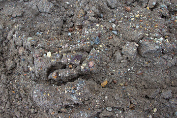 A fragment of volcanic black sand with elements of stones of different colors.