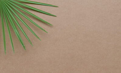 Tropical palm leaves brown cardboard background.