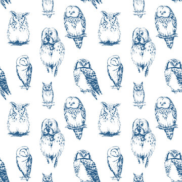 Owls seamless pattern. Vector background.
