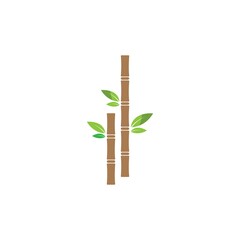 Sugar cane plant logo vector