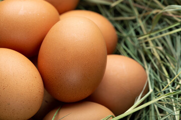 Fresh chicken eggs in the hay. Rural scene.