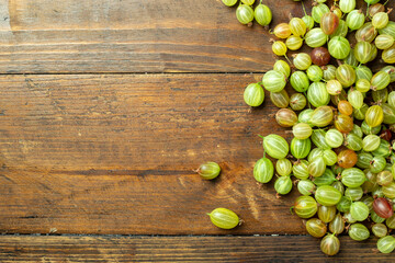 Ripe harvest of gooseberries on a wooden table. Top view.