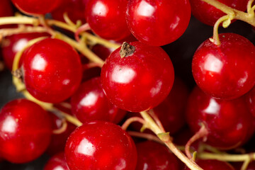 Fresh red currant berries. Berry background.