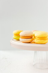 Colorful french macarons on a pink plate on white background