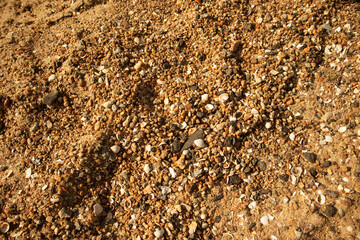Summer tme beach and sea