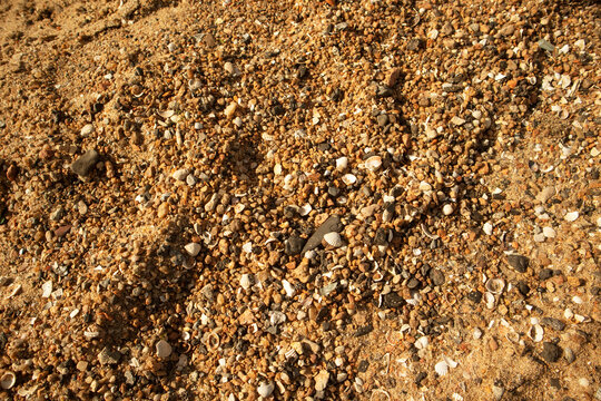 Summer tme beach and sea