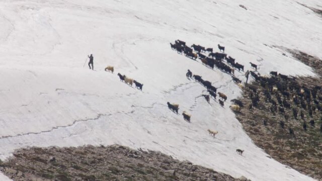 Syrian goat herders and goats, Mount Hermon, Syria
Long shot, Snowy Syria, Israel,2020
